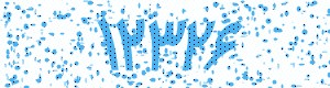 PAM-CAPTCHA-GENERATOR